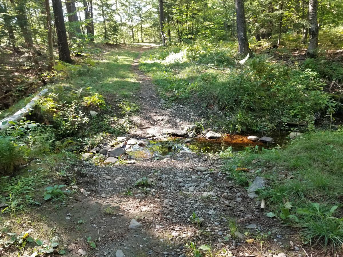 The stream/ditch obstacle.