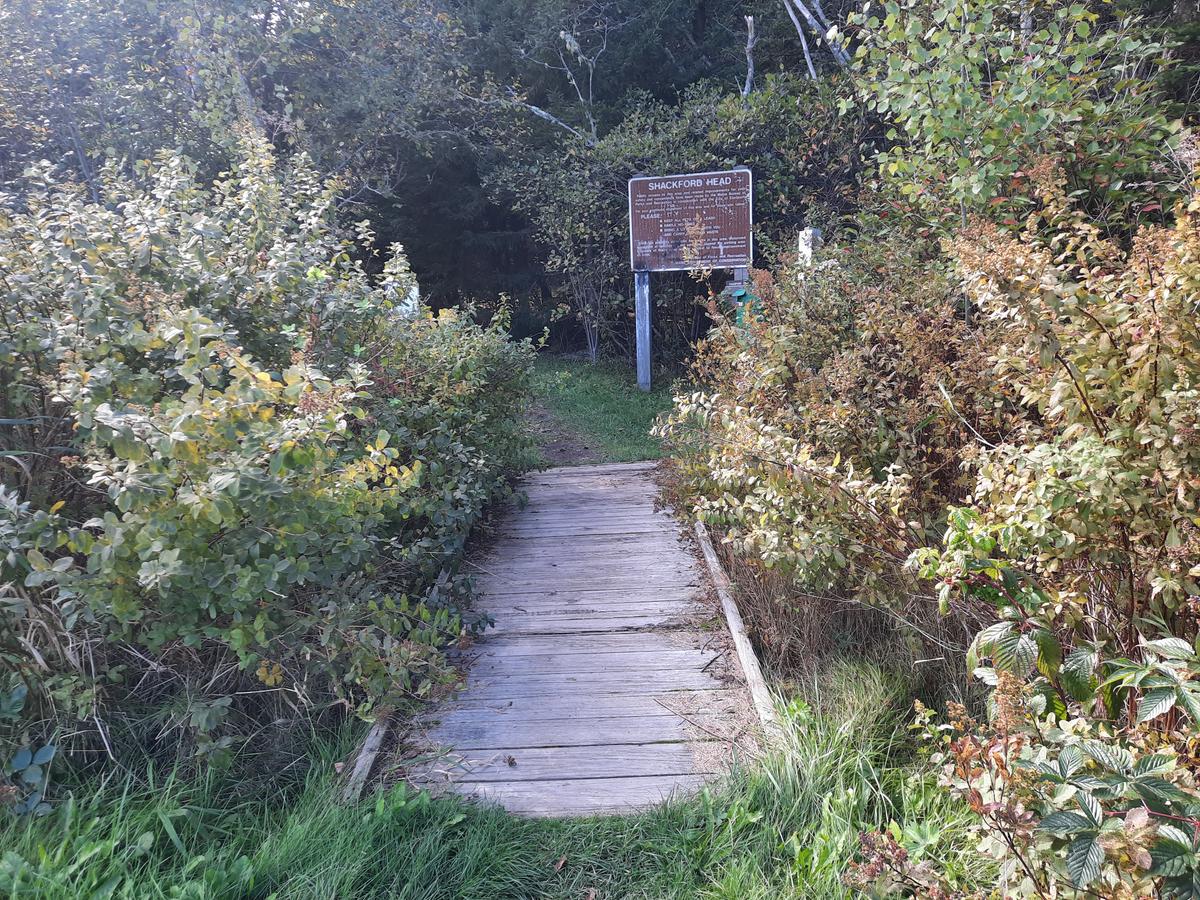 Entrance to trails at Shackford Head State Park. Photo credit: Enock Glidden