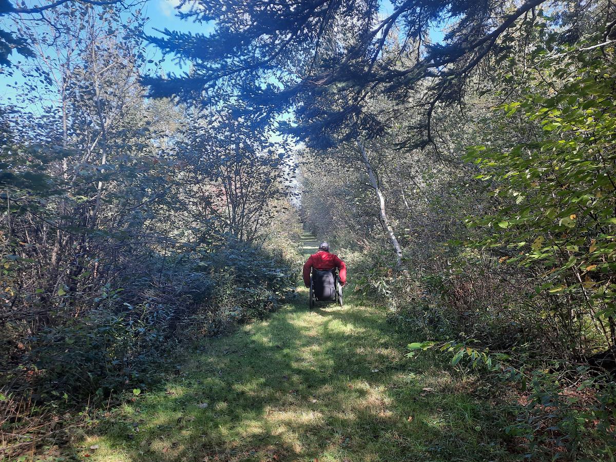 A grassy section of Greg's Pond Trail. Photo credit: Enock Glidden
