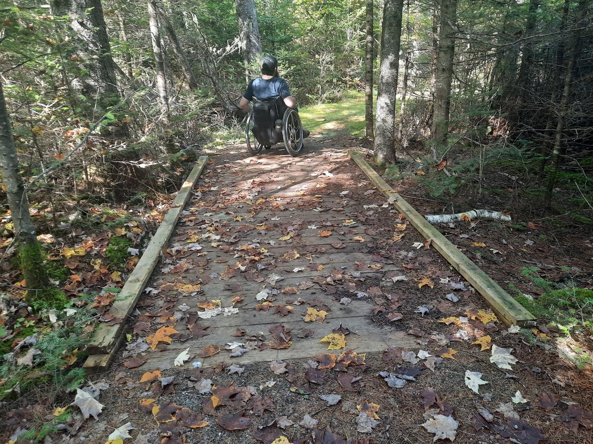 A bridge on Charlotte's Trail. Photo credit: Enock Glidden