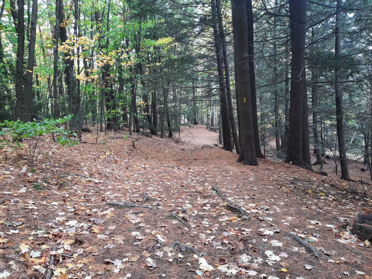 The trail from the top of the steep hill. Photo credit: Enock Glidden