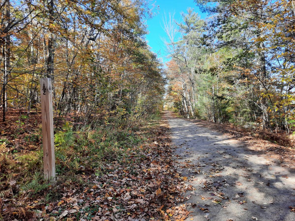 Gradual hill a half mile from the trailhead. Photo credit: Enock Gliden