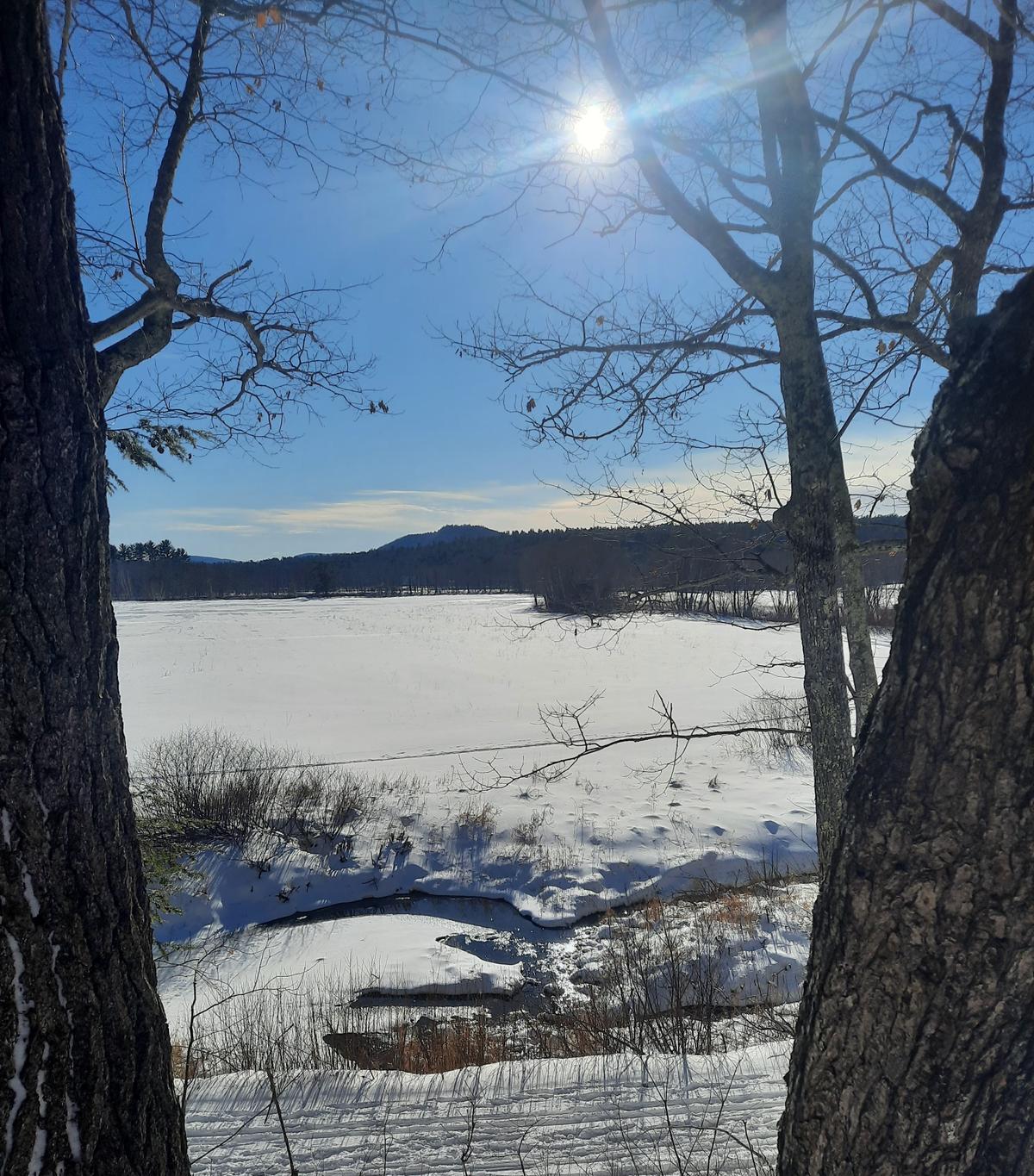 The view from the Valentine Farm trail. Photo credit: Enock Glidden