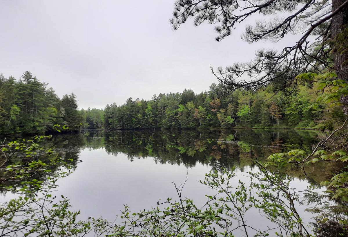 Tranquil beauty at the canoe/kayak launch on Kezar River.