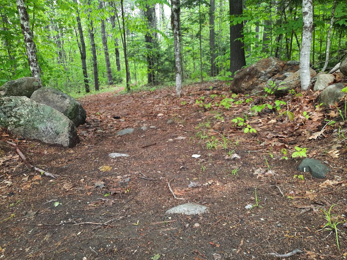 Rocks protruding in the trail.