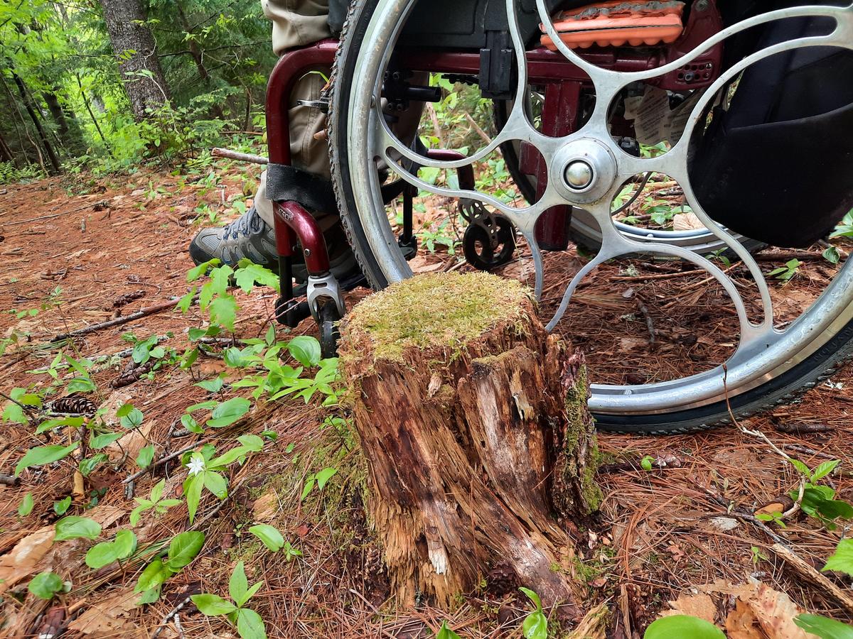 A stump near the requires maneuvering.