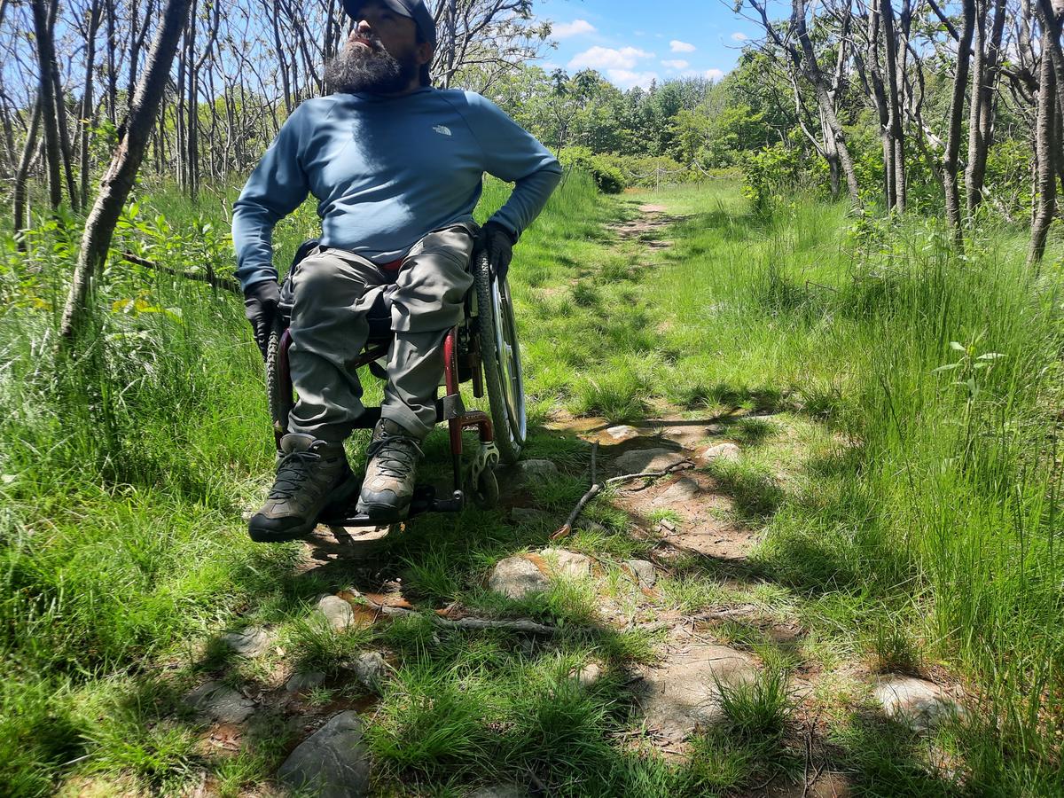 The trail surface in the section through the woods.