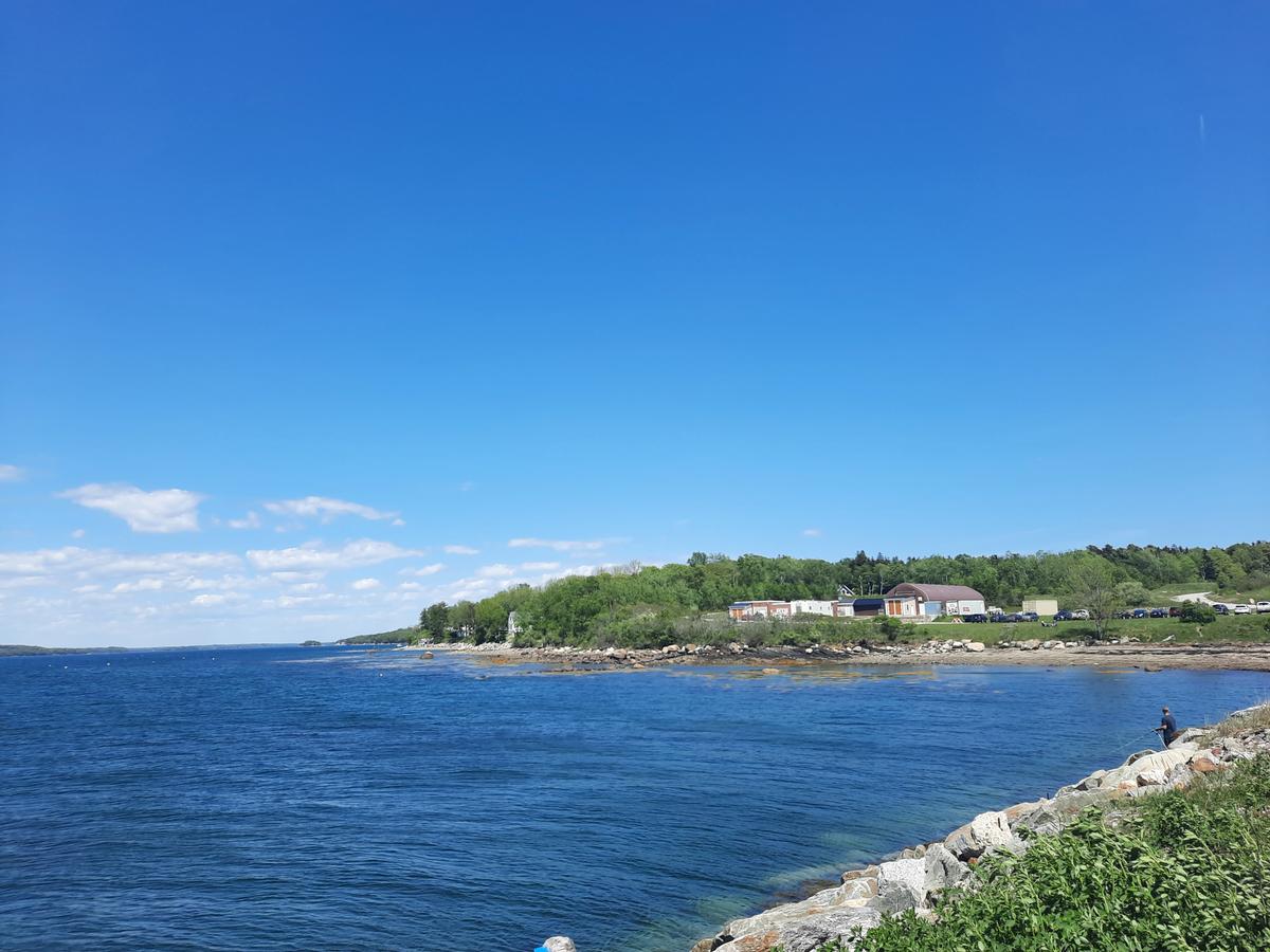 View over Middle Bay from the George J. Mitchell trail.