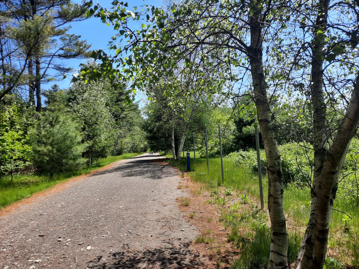 Unpaved section of trail.