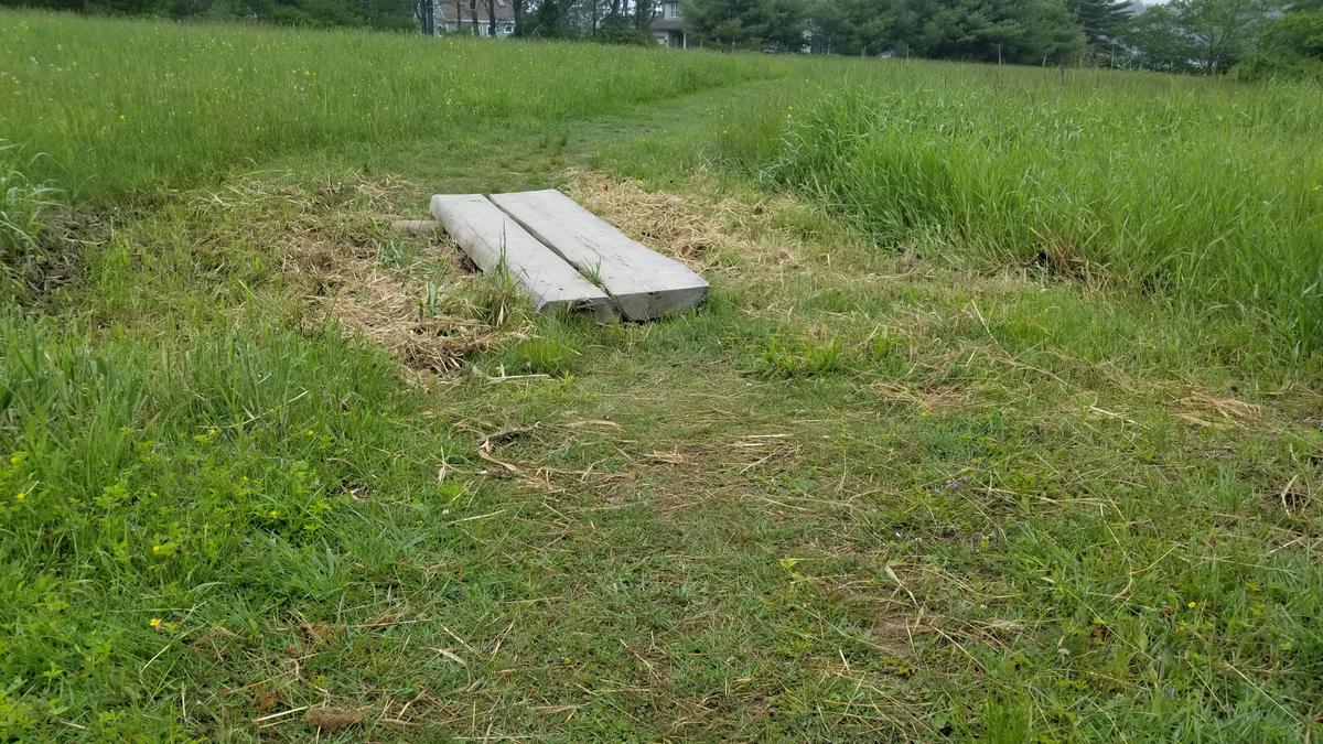 Thick bog bridge on the kayak launch trail.