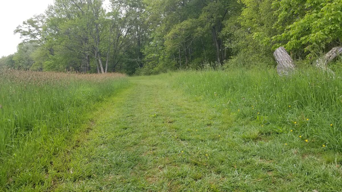 The field trail. The cross slope is difficult to distinguish in the photo.