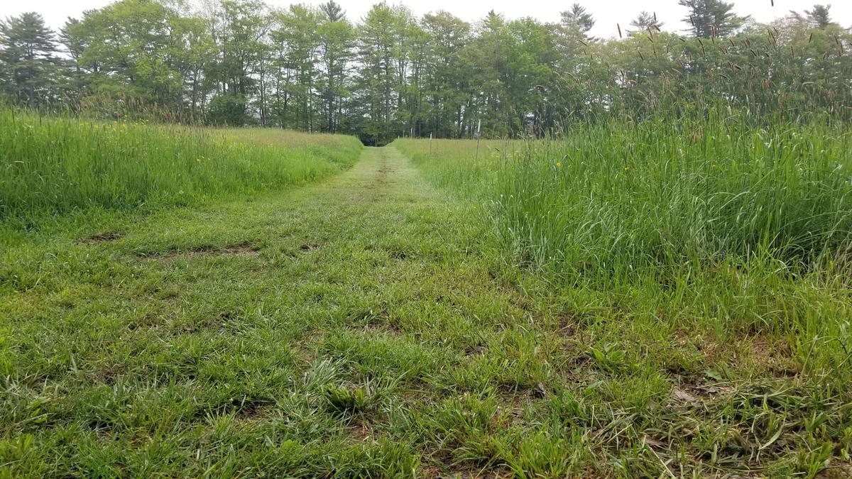 Field trail to the left.