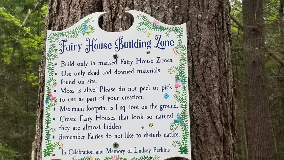 Fairy house building area.