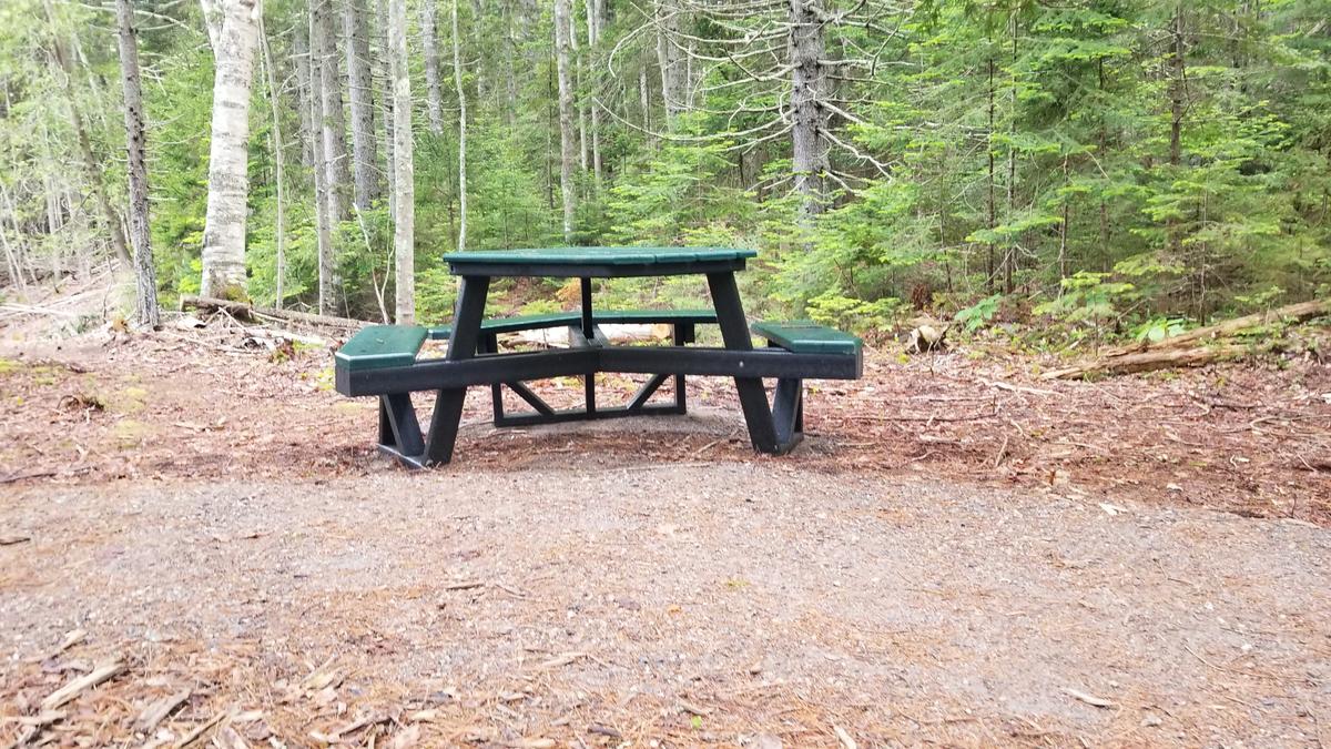 Accessible picnic table.