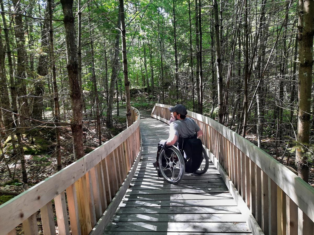 A curved bridge at Hope Woods.