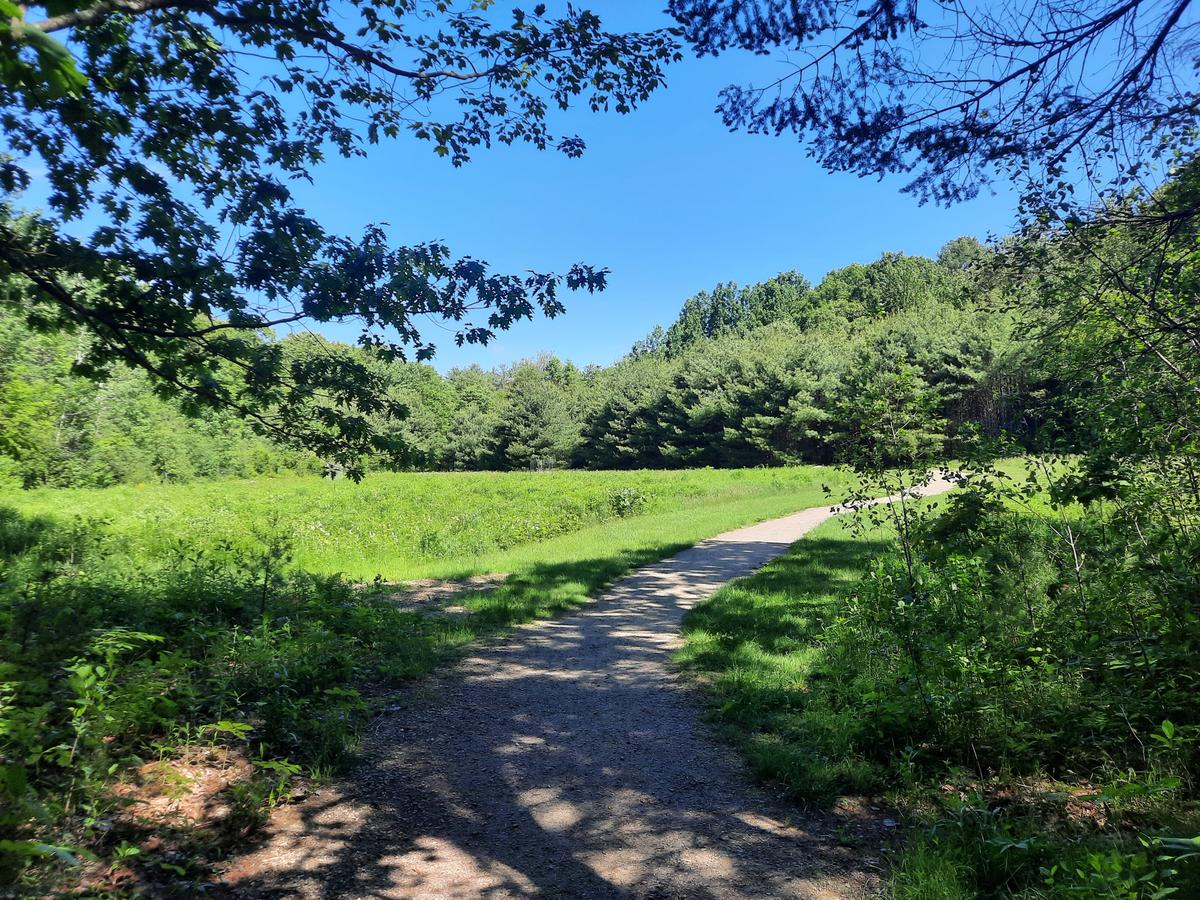 The trail at Hope Woods emerges into a field.