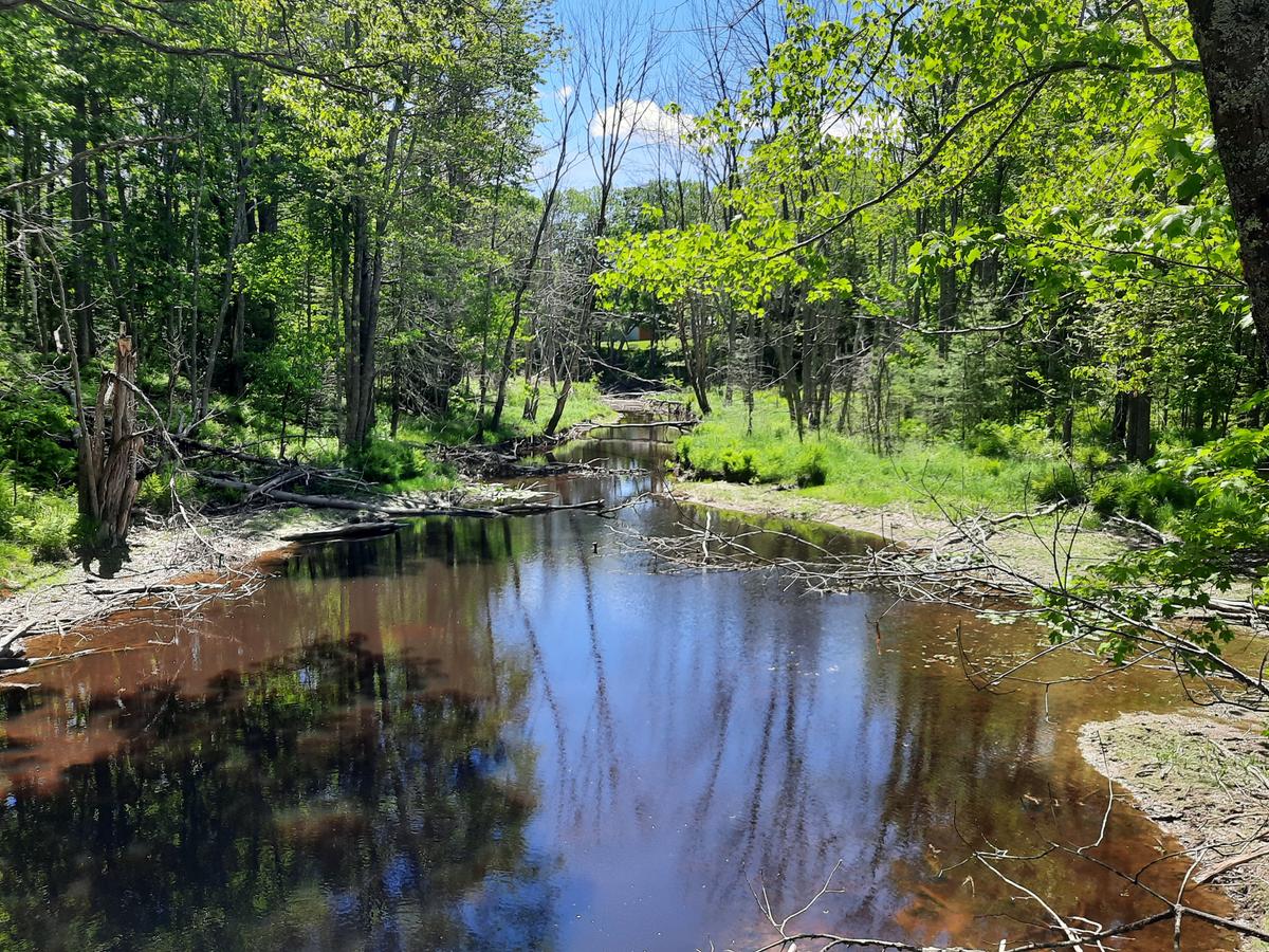 The view from the bridge.