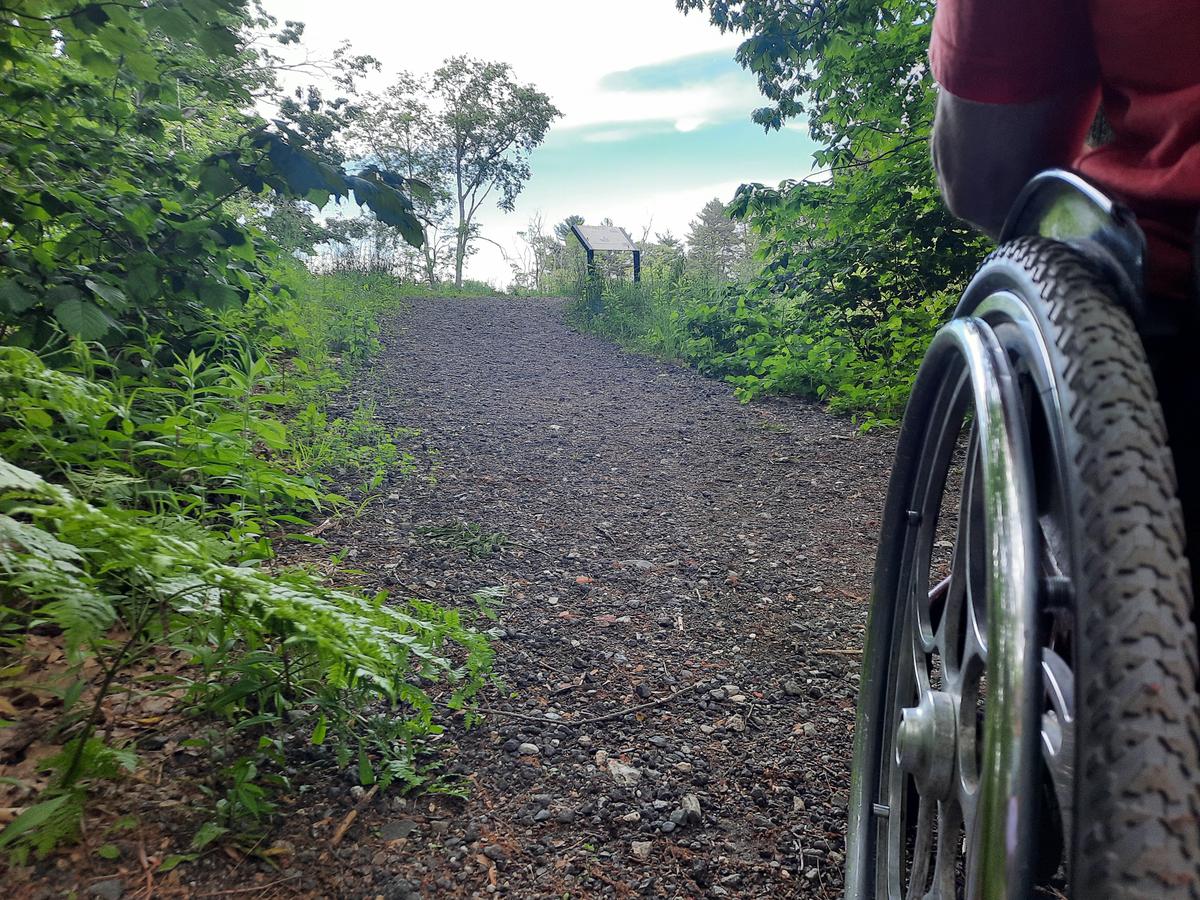 The gravel surface of the Broad Cove Trail.
