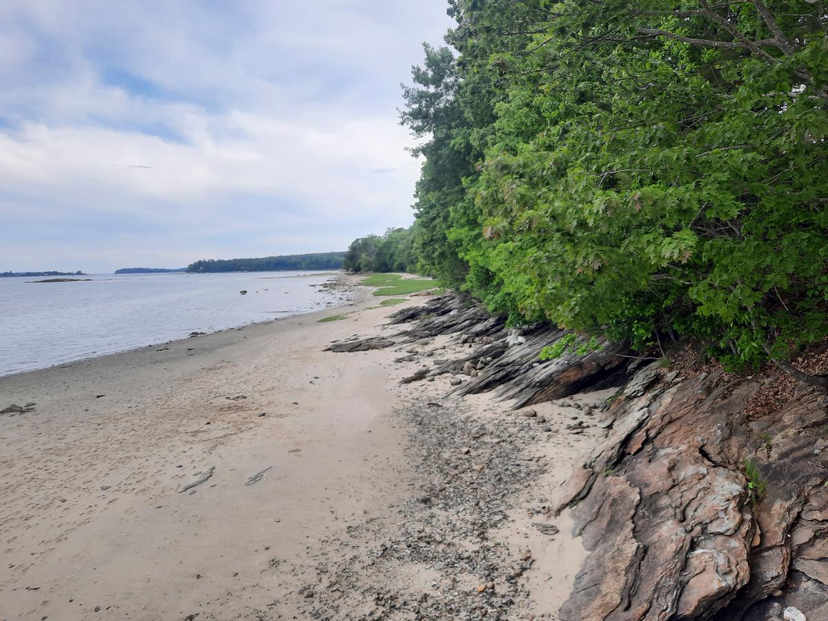 And a view from the beach at Broad Cove Reserve.