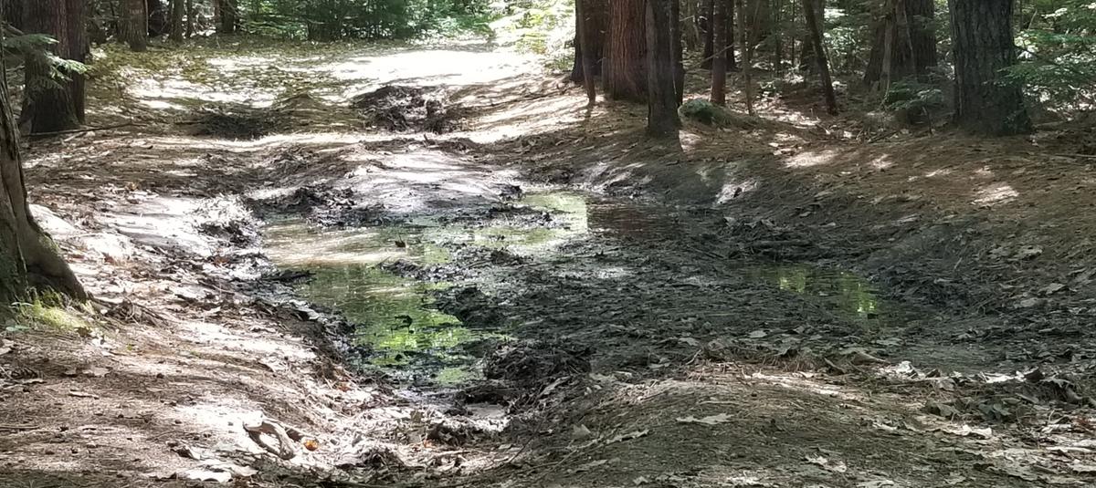 Muddy ruts on the Adam Perron Trail.