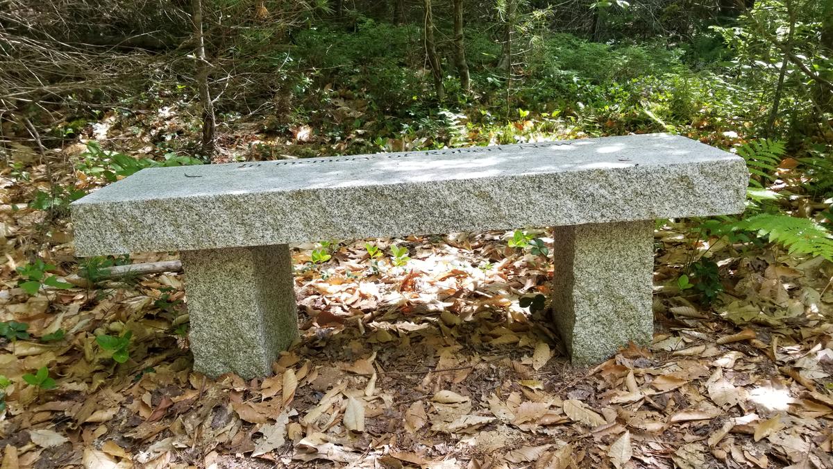 Bench on the Holt Pond Trail