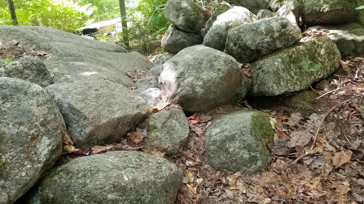 The rock wall on the Holt Pond Trail.