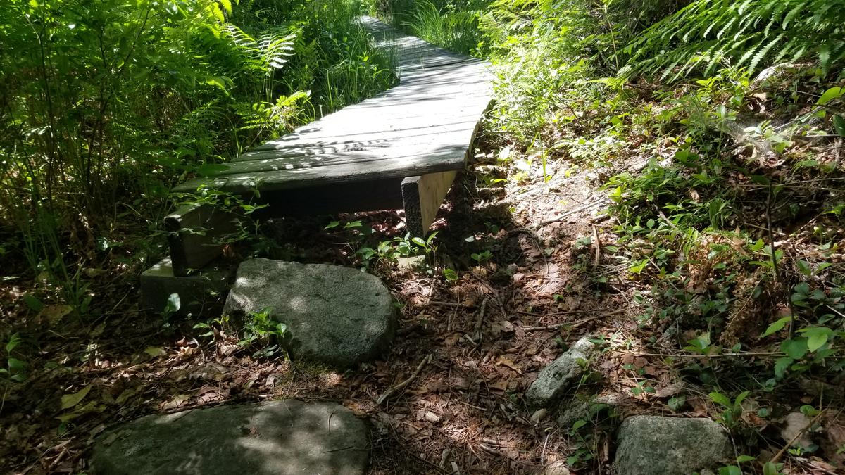 The large step onto the boardwalk.