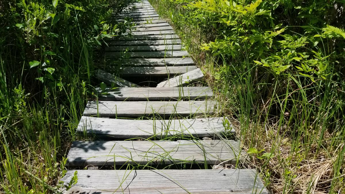 The damaged boardwalk.