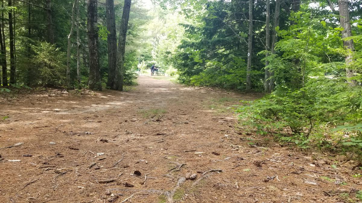 The trail to Knight's Pond.