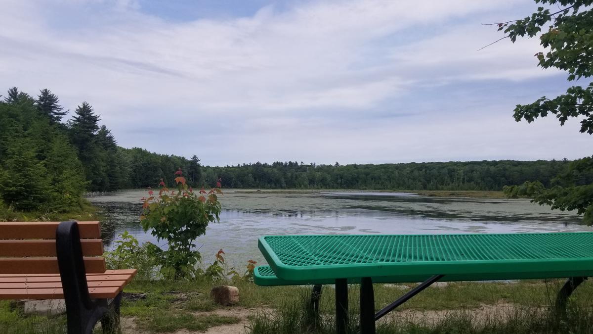 The picnic table, bench, and view at Knight's Pond.