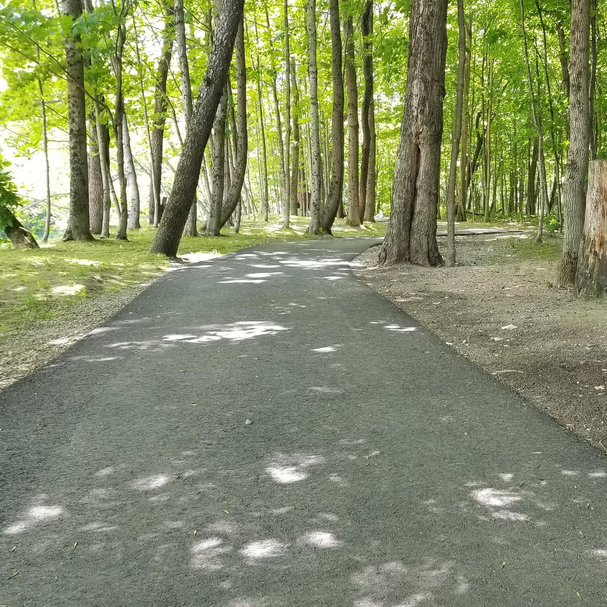 The paved surface of the trail.