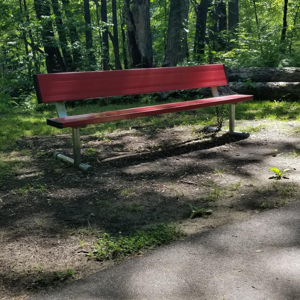 A resting bench along the trail.