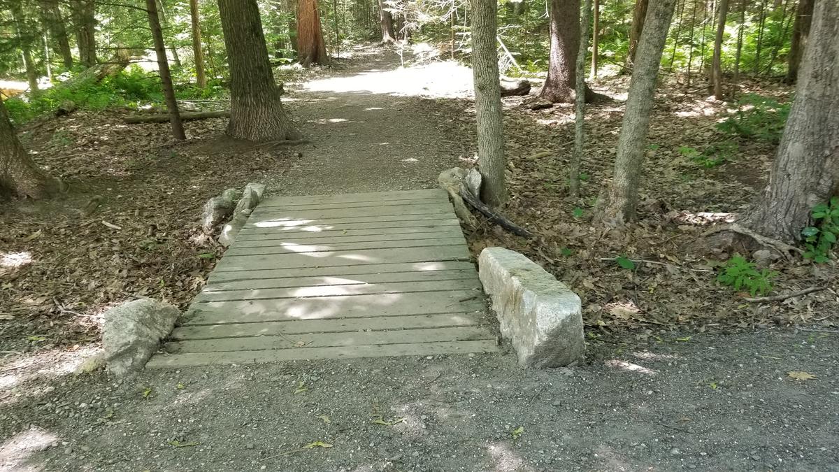 Boardwalk at the beginning of the Evergreen Loop.