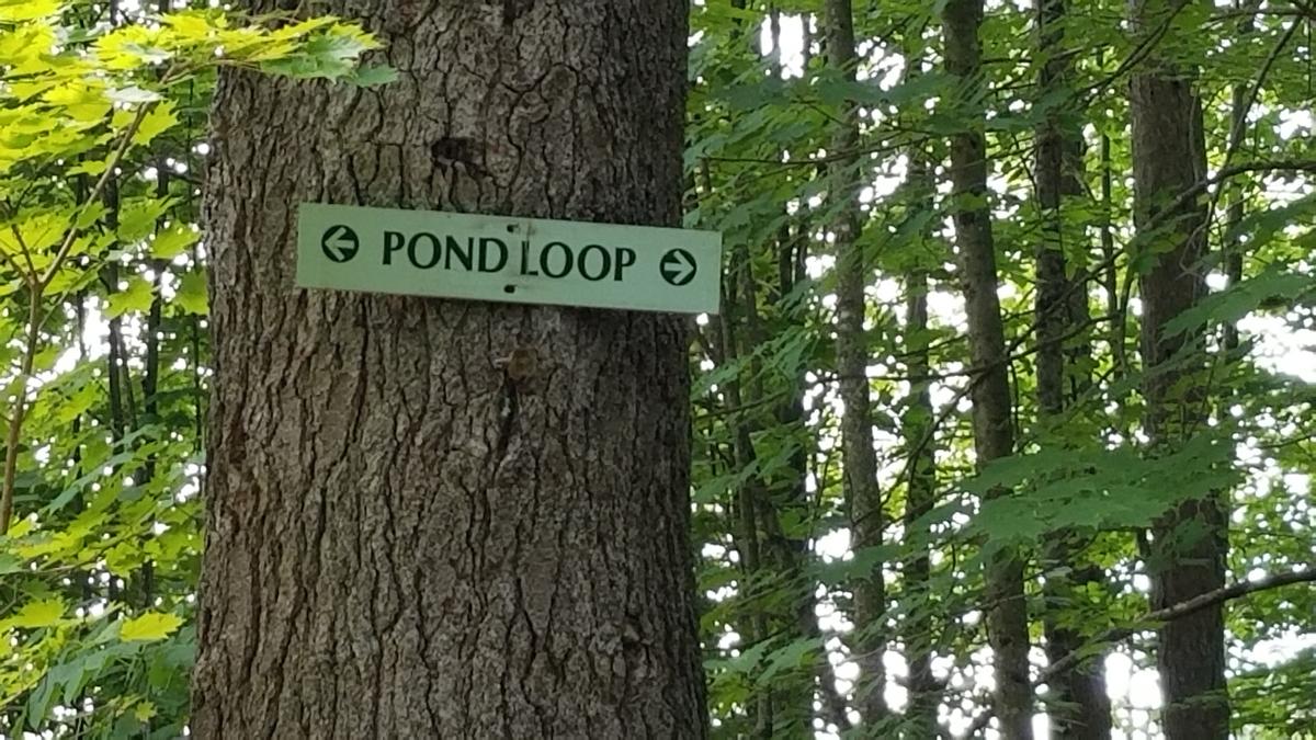 One of many trail signs on the property.