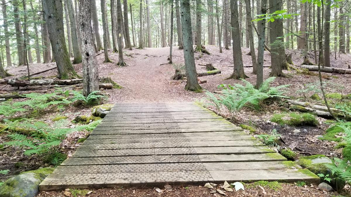 Boardwalk on the East Trail (note the steep hill on the other side).