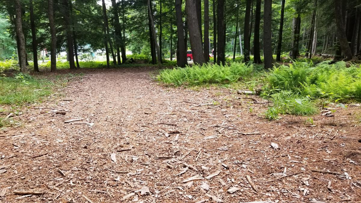 Trail surface on the way back to the parking lot.