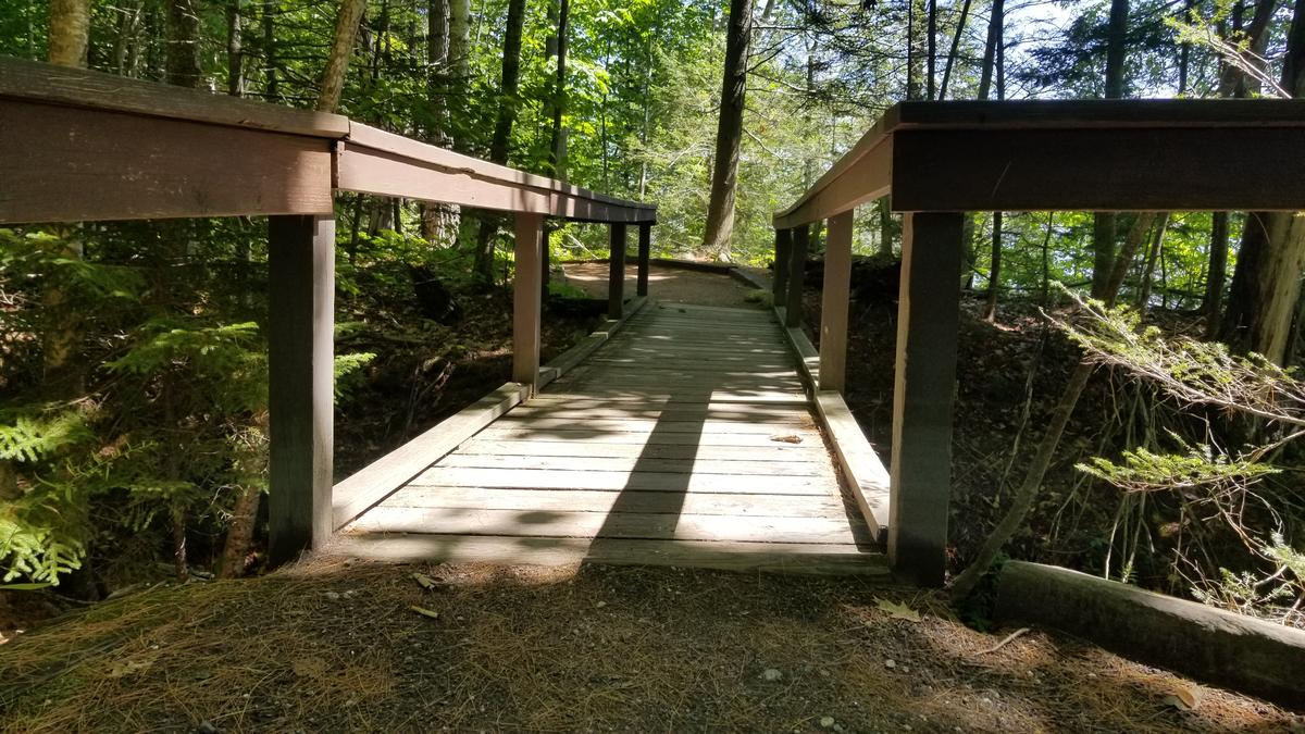 A bridge along the White Pines Trail