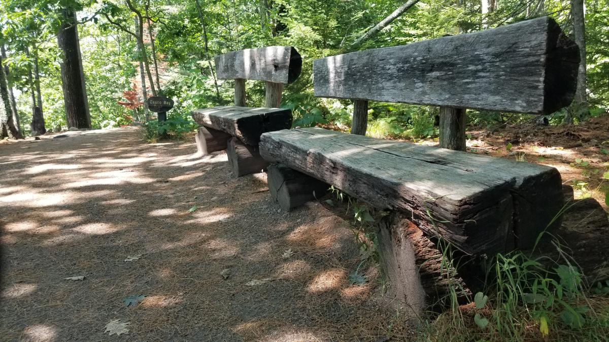 Resting benches along the White Pines Trail.