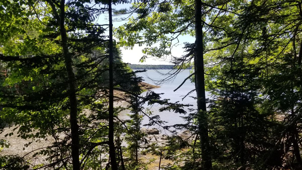 View over Casco Bay from the White Pines Trail.