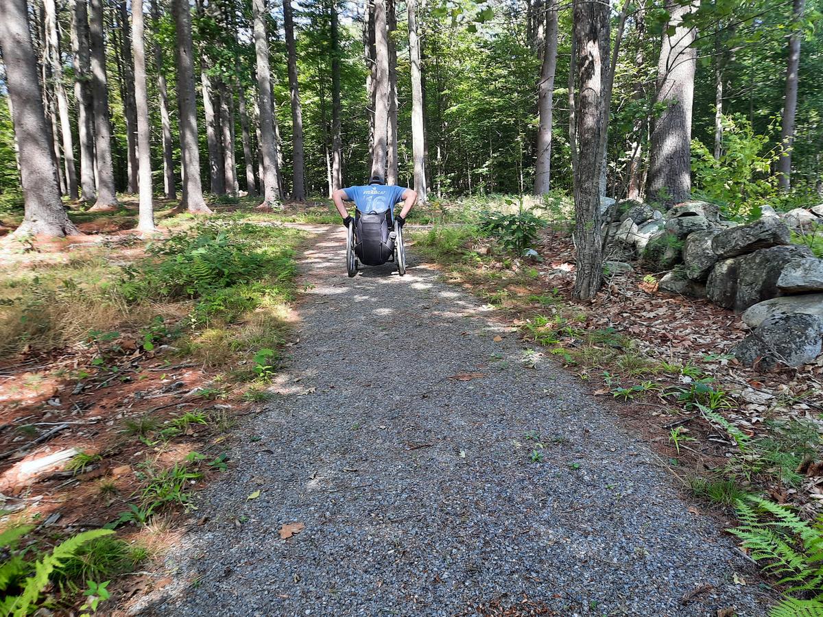 The accessible trail surface of packed gravel.