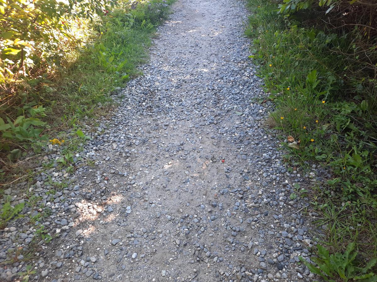 Gravel surface of the trail.