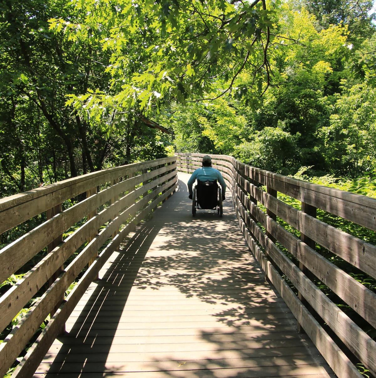 The long bridge on the Pondicherry Loop Trail.