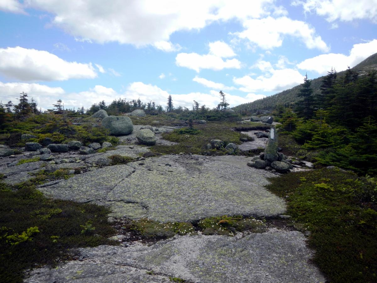 The white blazes lead to Katahdin (or Georgia) but climbing Saddleback is a good day as well. Saddleback Mountain, Sandy River Plantation.