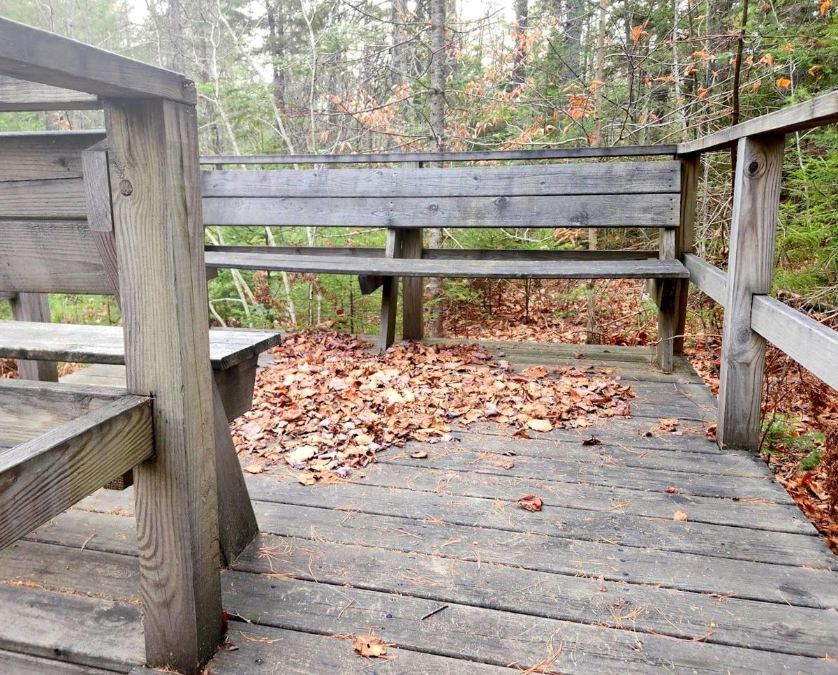 Platform along accessible boardwalk