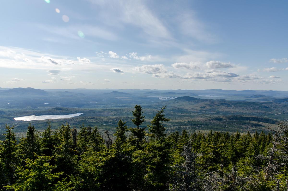 Look north across the Krummholtz and you can almost the boreal forest (you can certainly see Canada!). Coburn Mountain, Upper Enchanted Township.