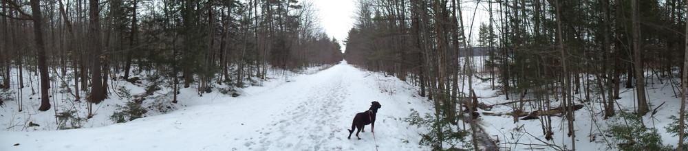 Diego at the Spring Road trail. Photo: Charlie Franklin