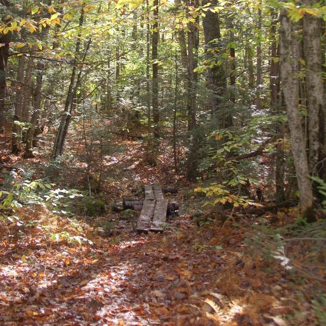 A short bog bridge over a ravine