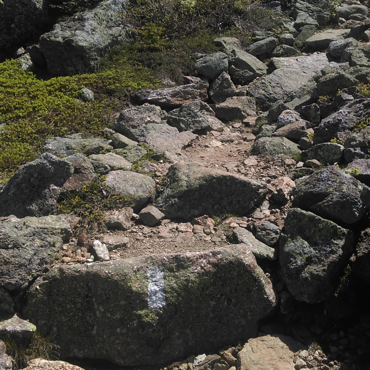 a rocky trail