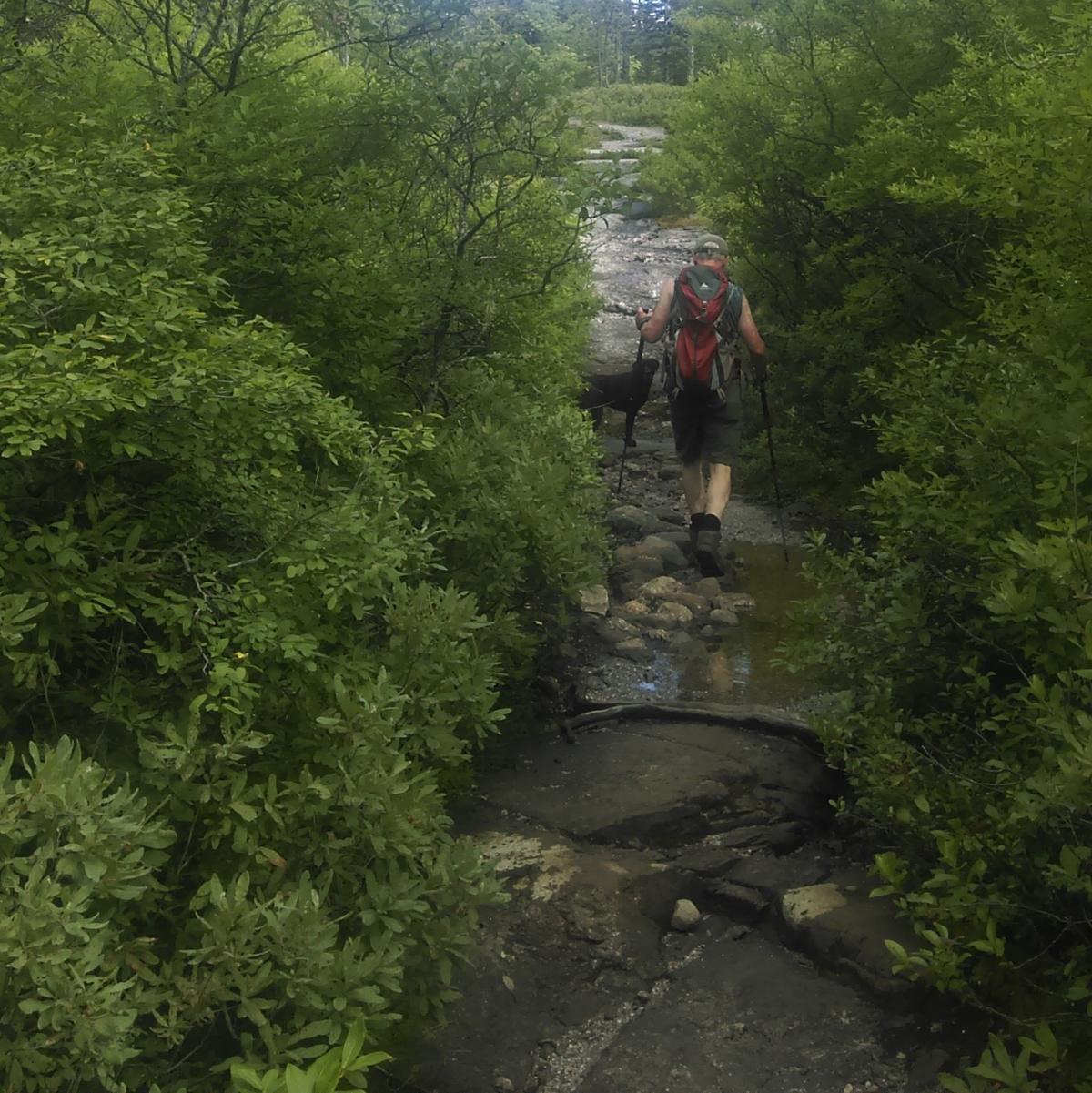 A steadily climbing trail