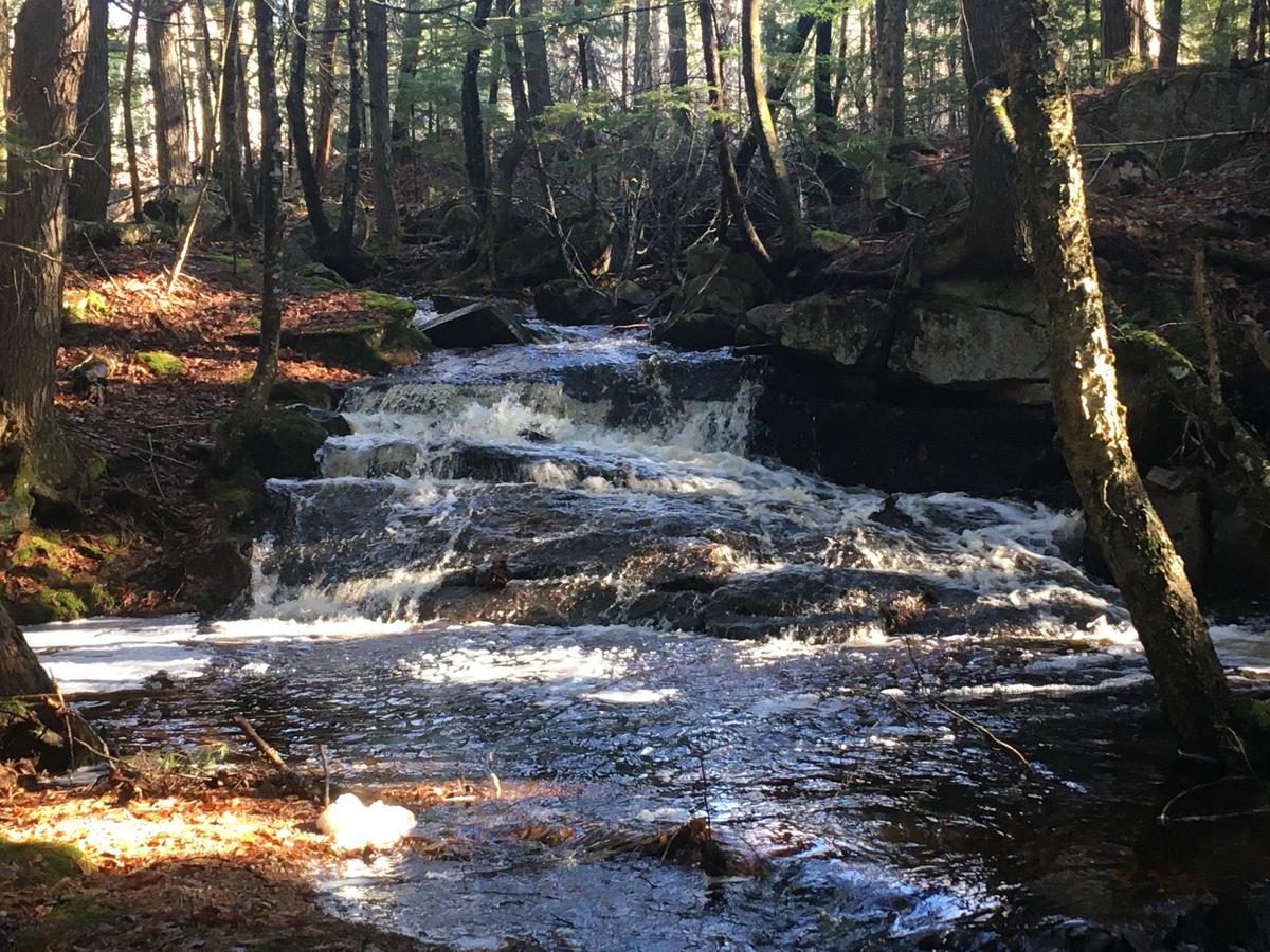 Waterfall at Frenchman Bay Conservancy's Schoodic Bog preserve